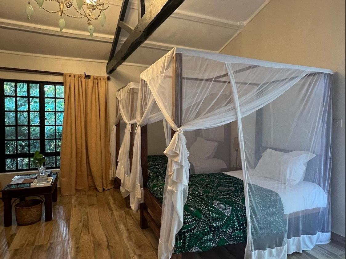 Mount Meru Game Lodge Αρούσα Δωμάτιο φωτογραφία